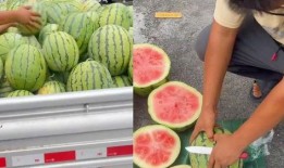 临沂吃生瓜网红叫什么,挑战味蕾极限！